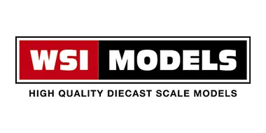 WSI Models